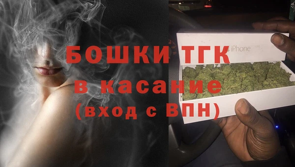 ешки Арсеньев
