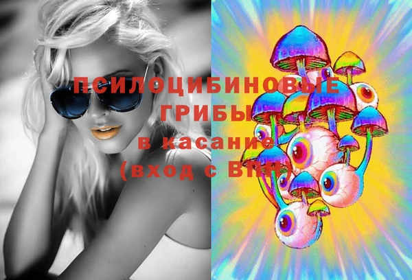 ешки Арсеньев