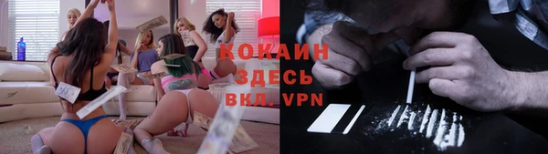 ешки Арсеньев