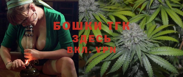 ешки Арсеньев
