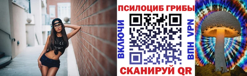 Галлюциногенные грибы GOLDEN TEACHER купить закладку Ахтубинск